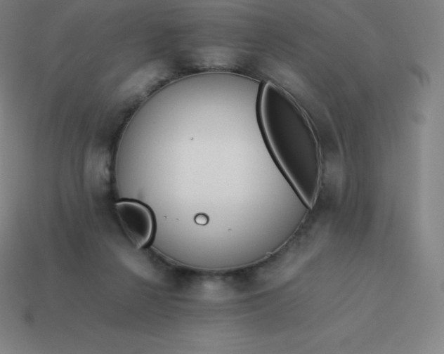 X0000113910264200910081856