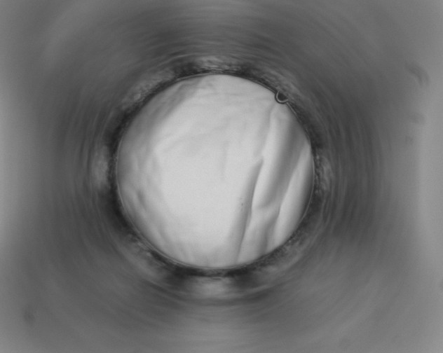 X0000113910266200910081856