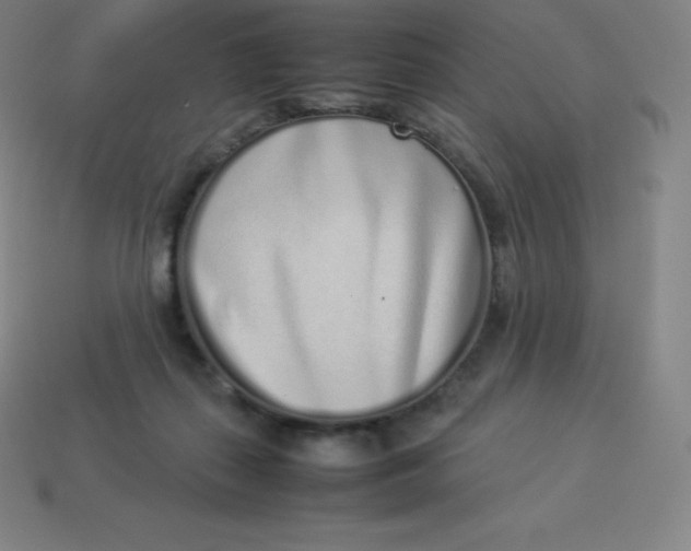 X0000113910267200910081856