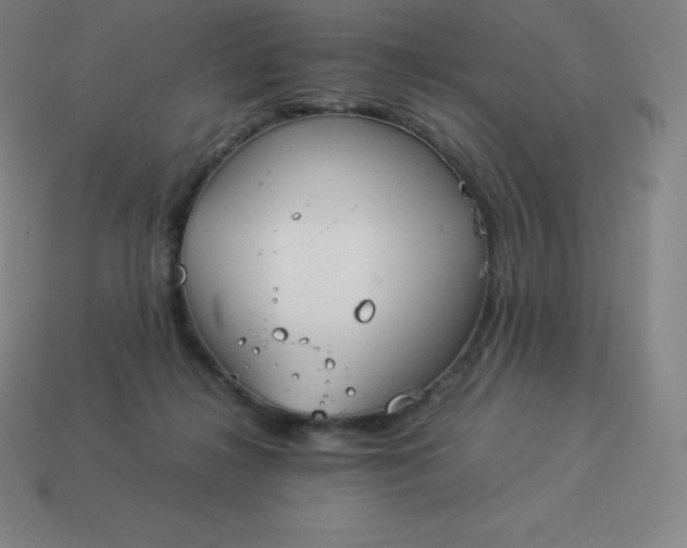 X0000113910268200910081856