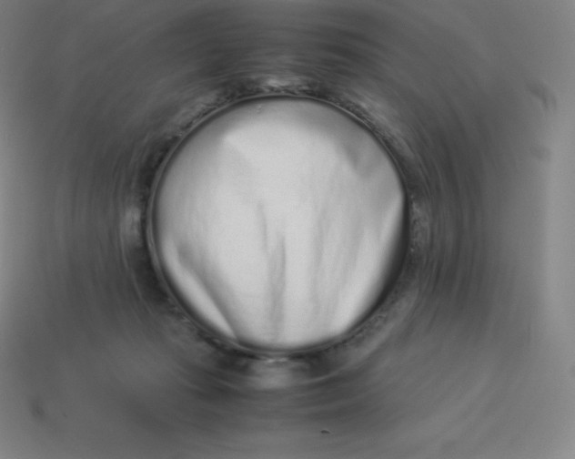 X0000113910269200910081856