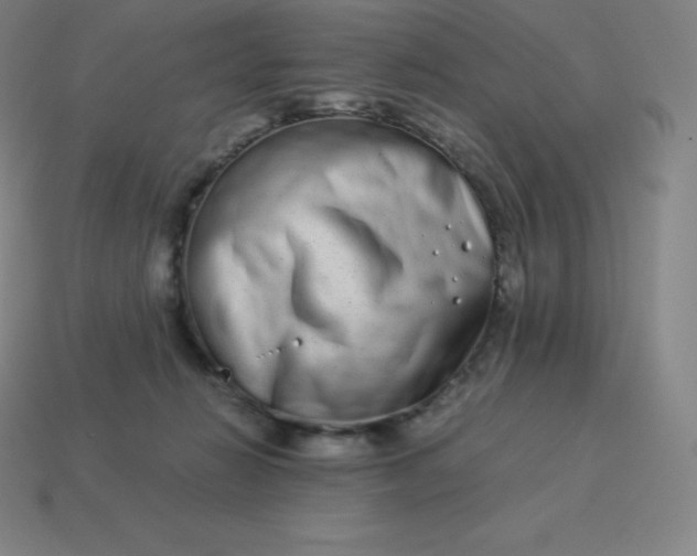 X0000113910270200910081856