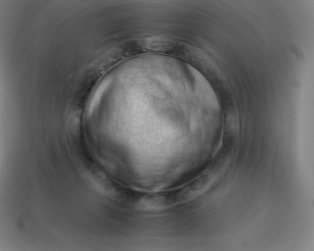 X0000113910271200910081856