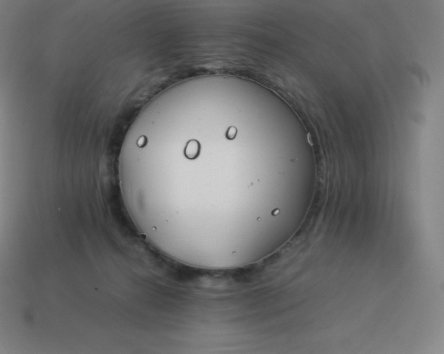 X0000113910272200910081856