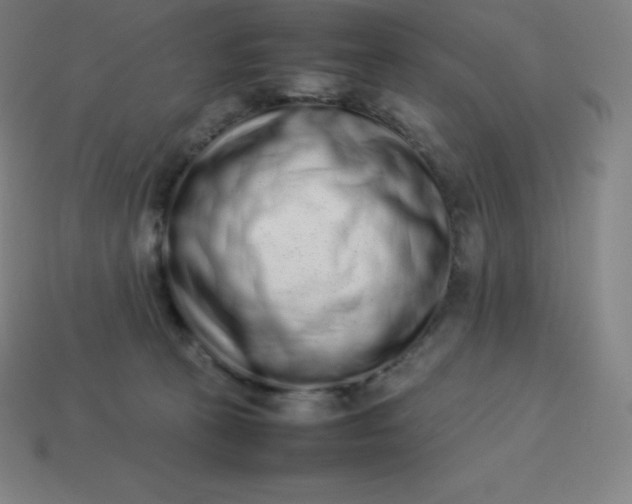 X0000113910273200910081856