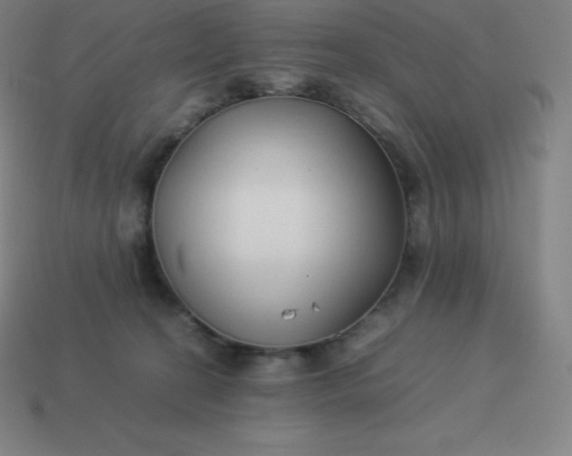 X0000113910274200910081856