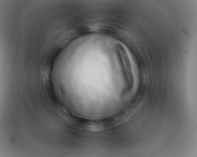 X0000113910275200910081856