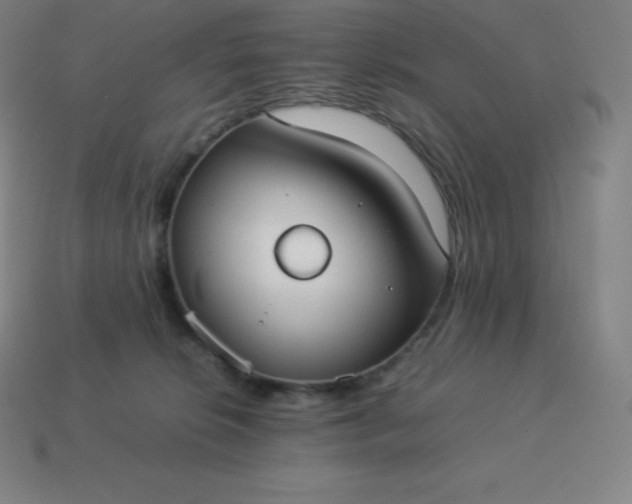 X0000113910276200910081856