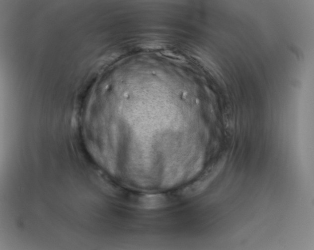 X0000113910277200910081856