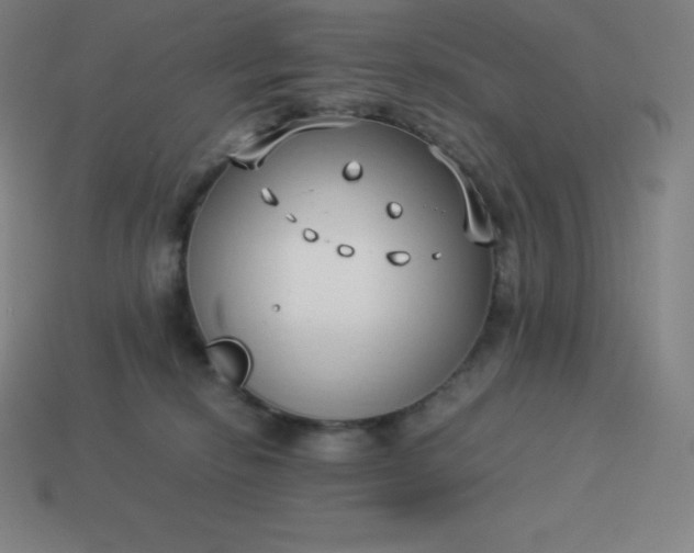 X0000113910278200910081856