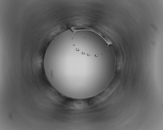 X0000113910279200910081856