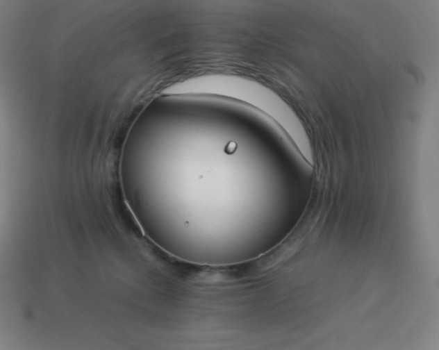 X0000113910280200910081856