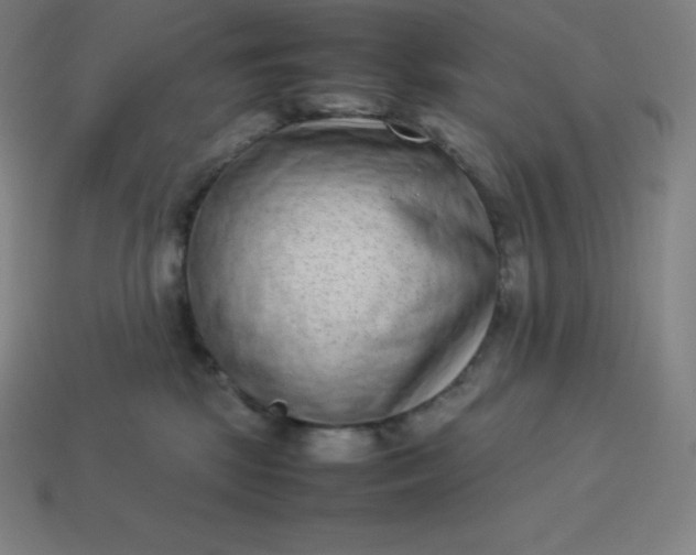 X0000113910281200910081856