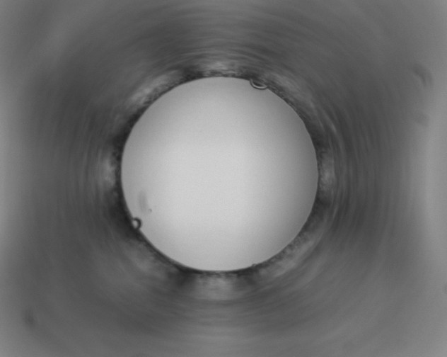 X0000113910282200910081856