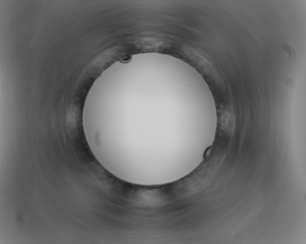 X0000113910283200910081856