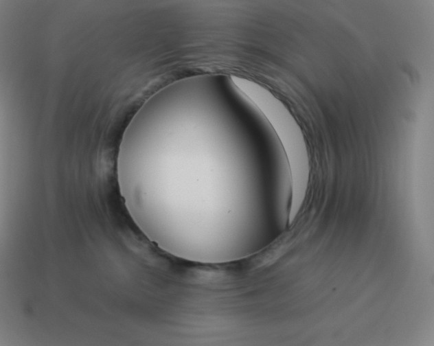 X0000113910284200910081856