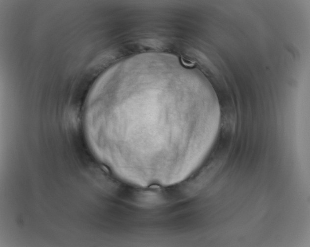 X0000113910285200910081856