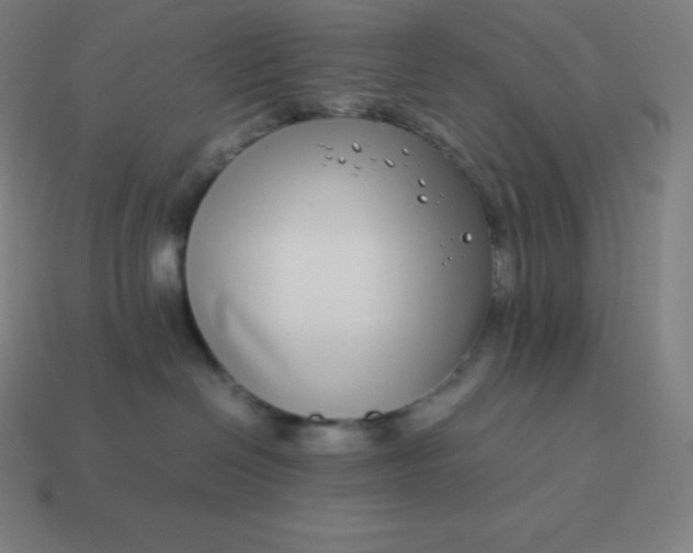 X0000113910286200910081856