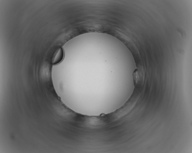 X0000113910287200910081856