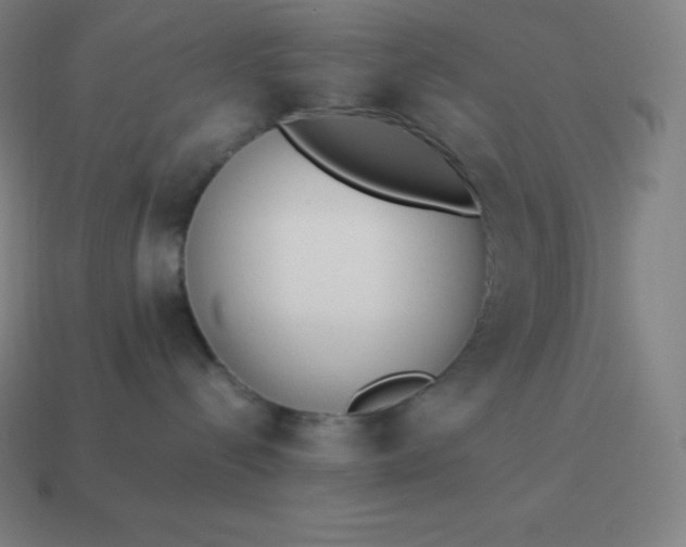 X0000113910288200910081856