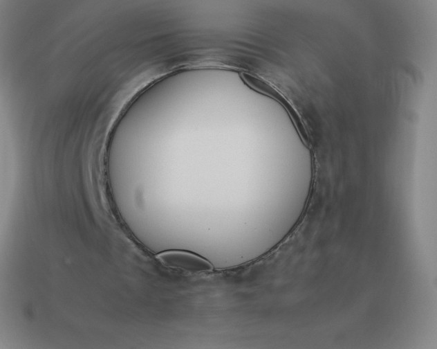 X0000113910289200910081856