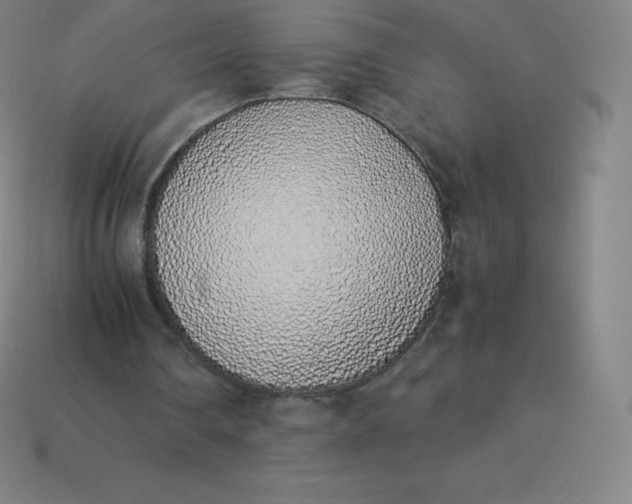 X0000113910290200910081855