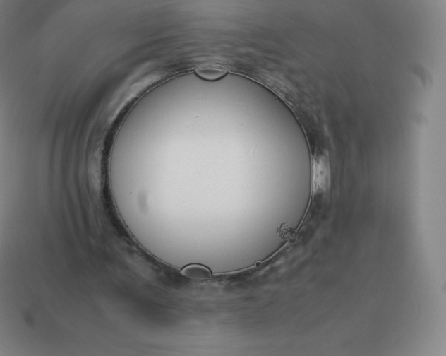 X0000113910291200910081855