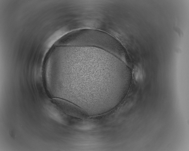 X0000113910292200910081855