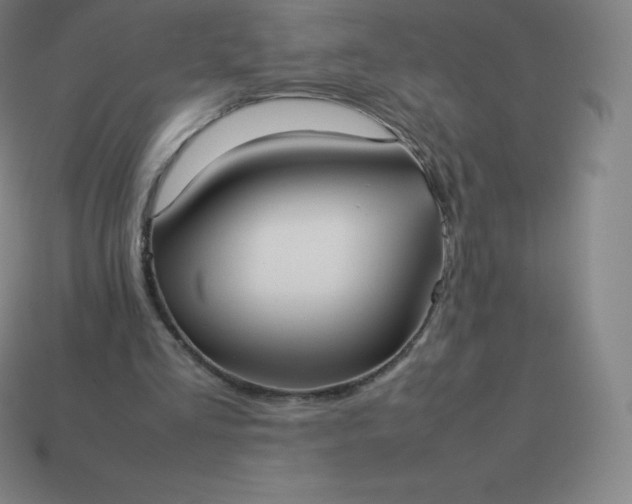 X0000113910293200910081855