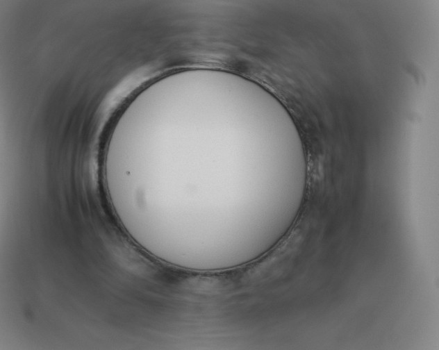 X0000113910294200910081855