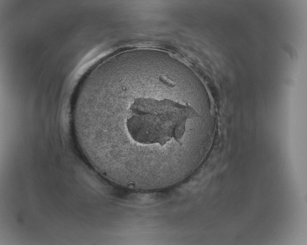 X0000113910295200910081855