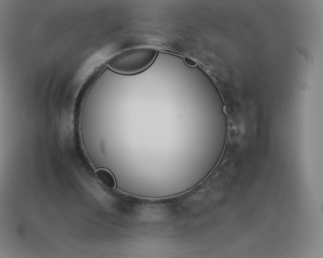 X0000113910296200910081855