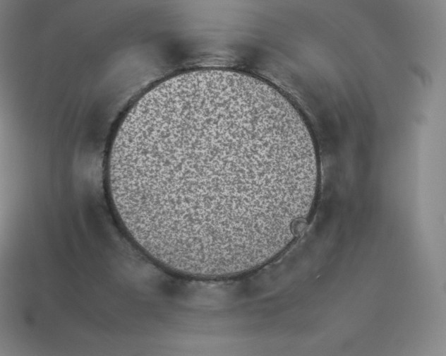 X0000113910297200910081855