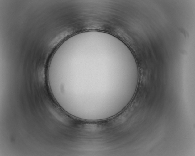 X0000113910298200910081855