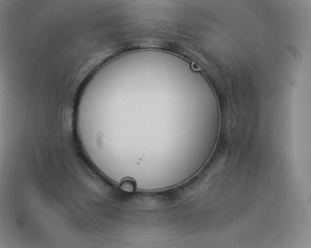 X0000113910299200910081855