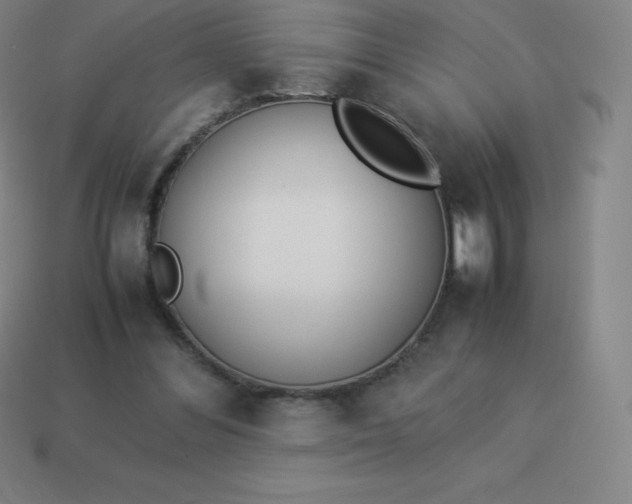 X0000113910300200910081855