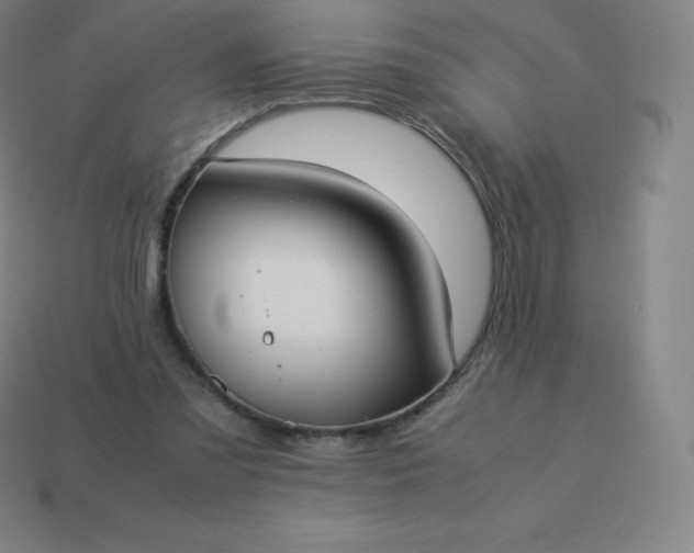 X0000113910301200910081855