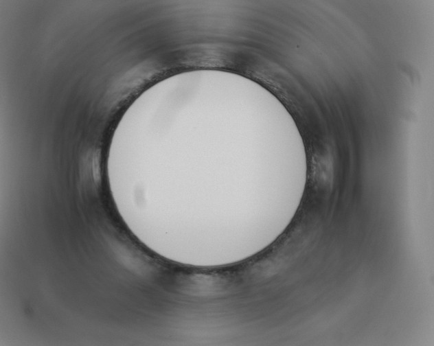 X0000113910302200910081855