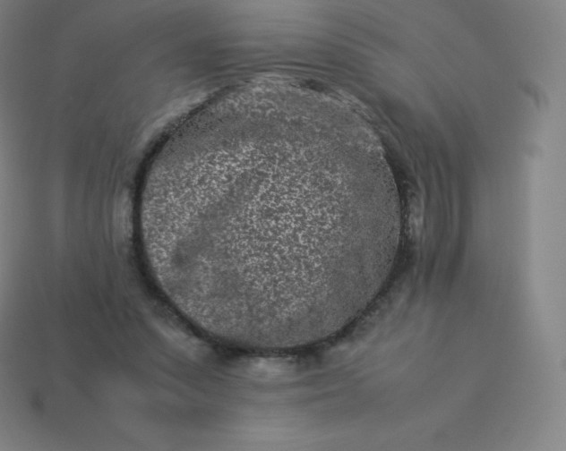 X0000113910303200910081855