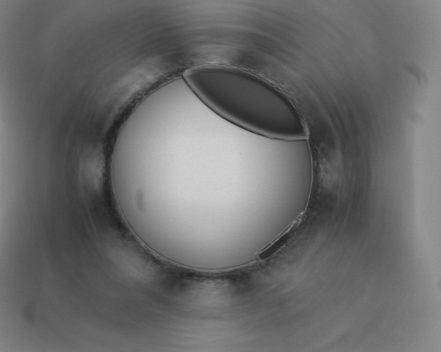 X0000113910304200910081855