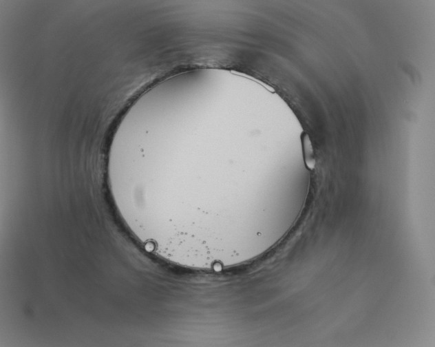 X0000113910305200910081855