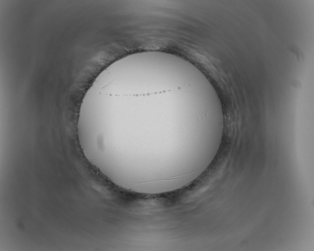 X0000113910307200910081855