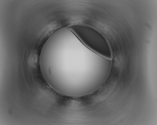 X0000113910308200910081855