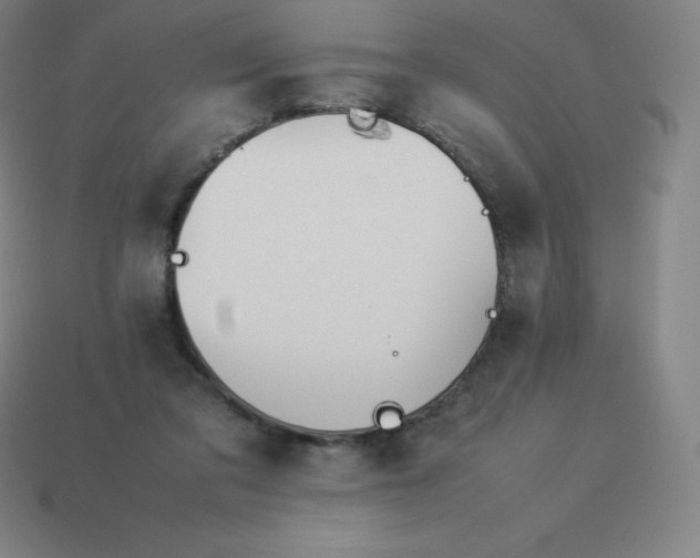 X0000113910309200910081855