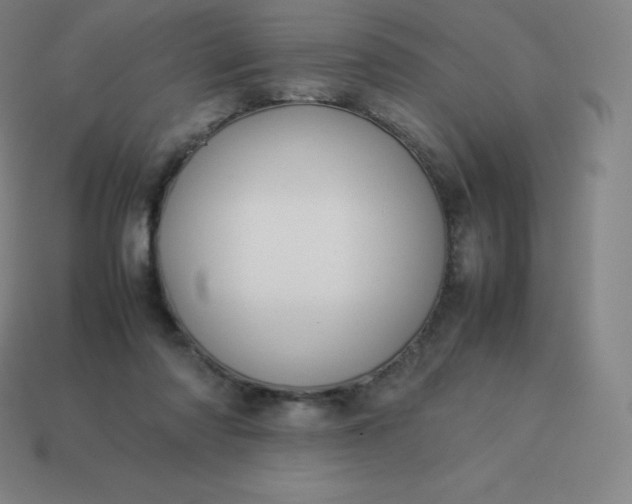 X0000113910310200910081855