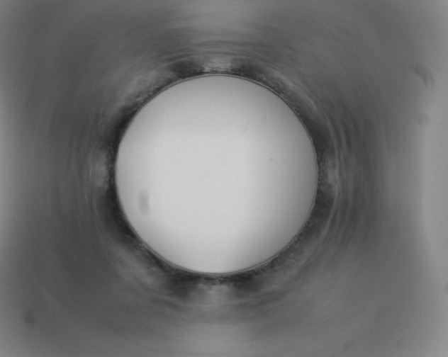 X0000113910311200910081855