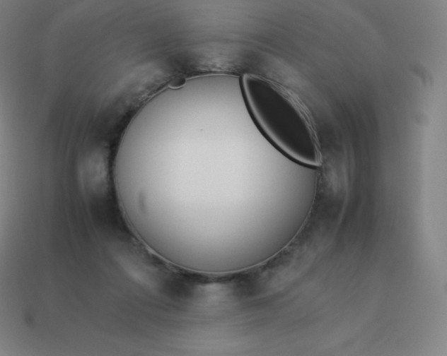 X0000113910312200910081855