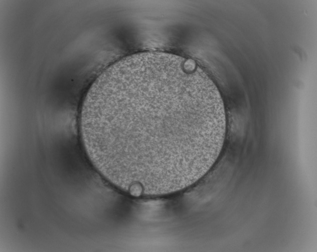 X0000113910313200910081855