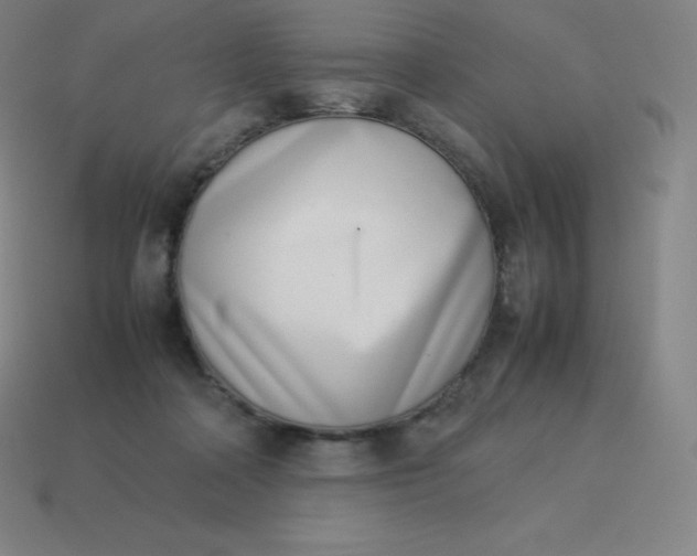 X0000113910314200910081855