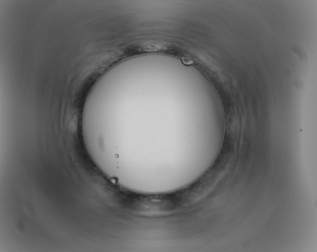 X0000113910315200910081855